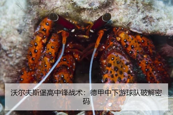 沃尔夫斯堡高中锋战术：德甲中下游球队破解密码