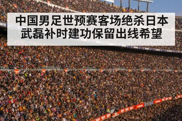 football stadium crowd